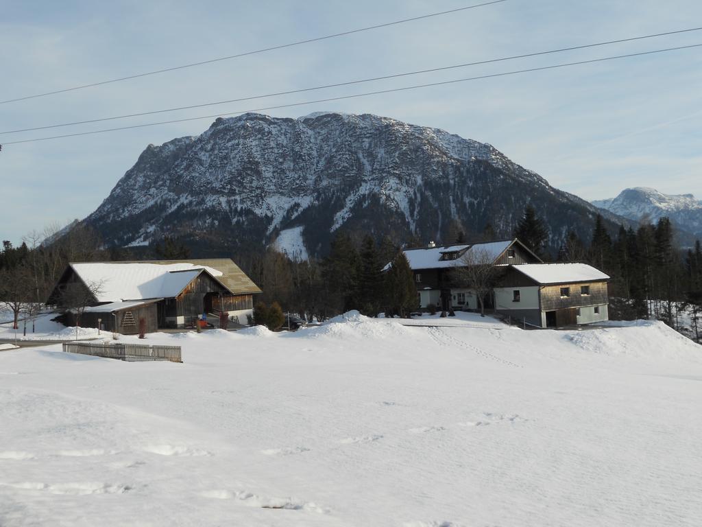 Ferienwohnung Am Bauernhof Koa Бад Гойзерн Екстериор снимка