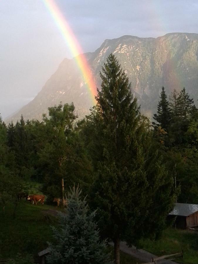 Ferienwohnung Am Bauernhof Koa Бад Гойзерн Екстериор снимка